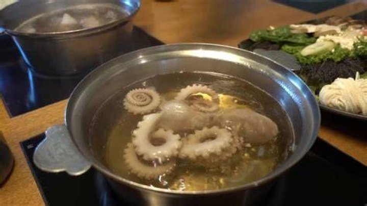 Are octopus boiled alive?