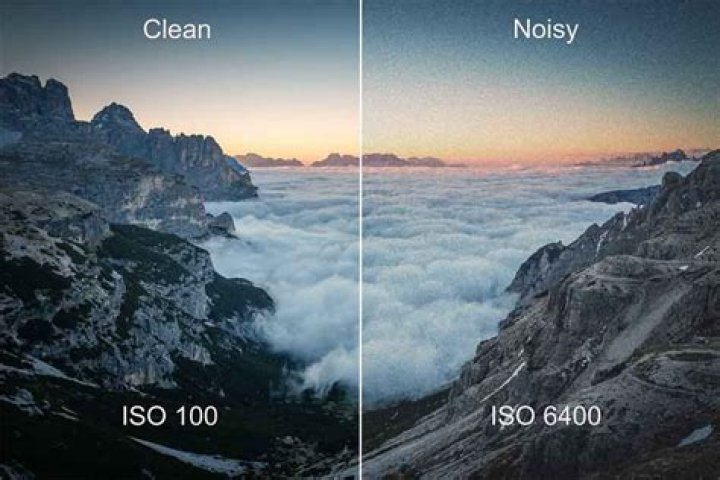 At what ISO do you start seeing grain?