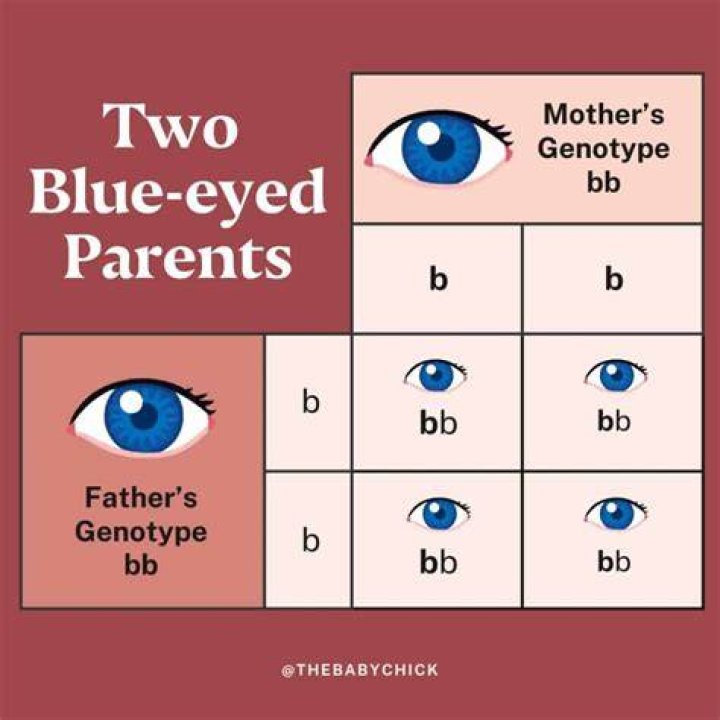 Can a baby have blue eyes if neither parent does?