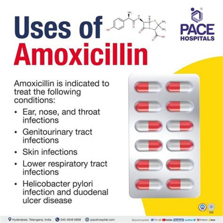 Can amoxicillin treat boils?