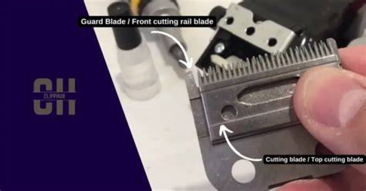 Can I clean my clippers with vinegar?