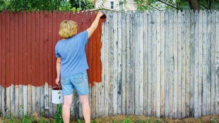 Can I legally paint my side of Neighbours fence?