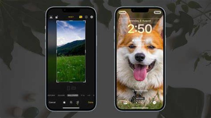 Can iPhone identify a picture?