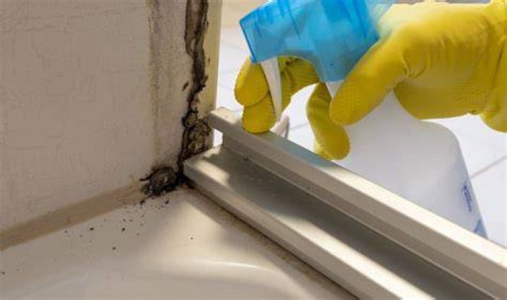 Can you clean silicone with hydrogen peroxide?