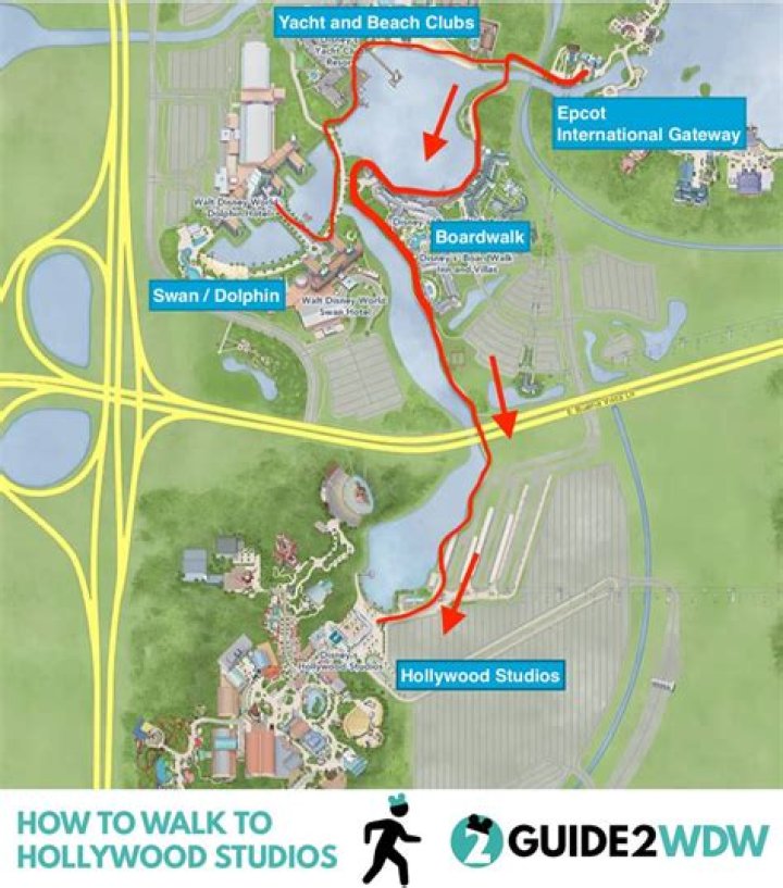 Can you walk from Caribbean Beach to Hollywood Studios?
