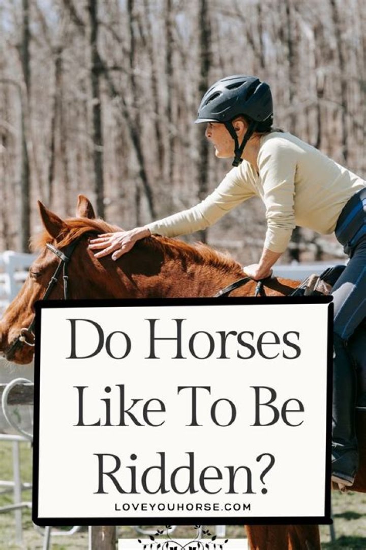 Do horses like being ridden by humans?