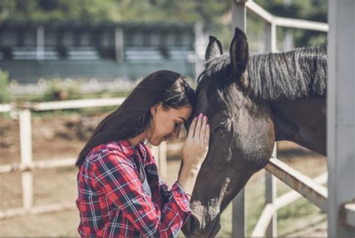 Do horses really bond with humans?