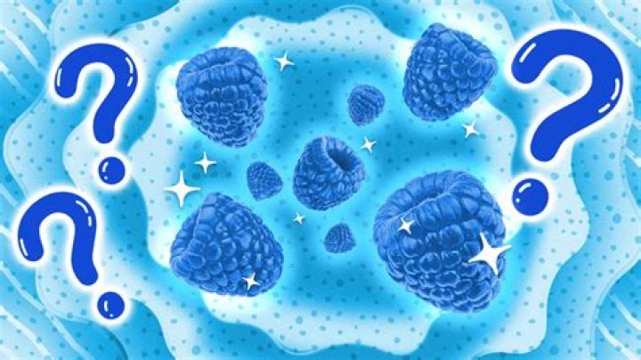 Does a blue fruit exist?