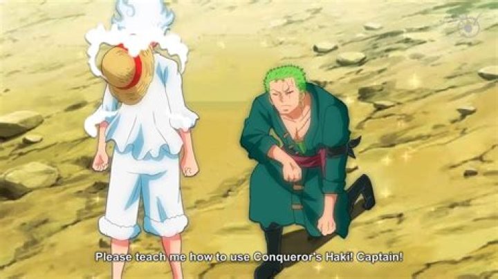 Does Ace have Conqueror's Haki?