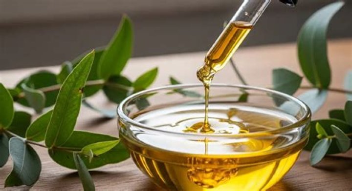 Does eucalyptus oil need a carrier oil?