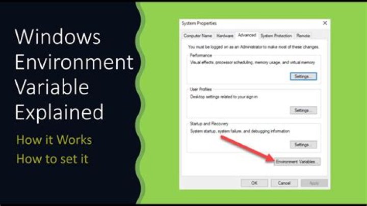 How do I check if an environment variable is set?