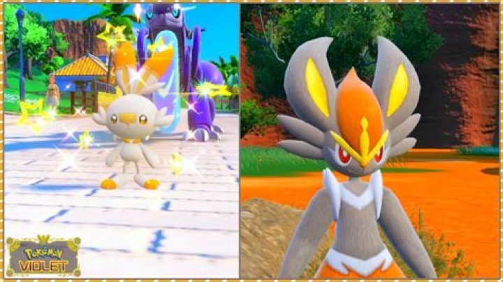 How do you get a female Scorbunny?