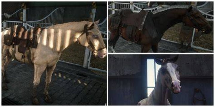 How do you tell a horse you love them?