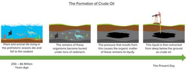 How is emu oil extracted from the bird?