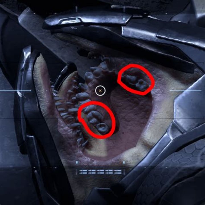 How old can Sangheili get?