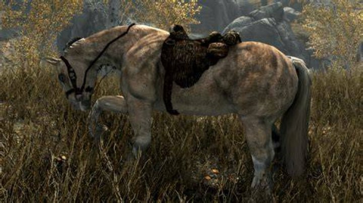 Is frost better than other horses Skyrim?