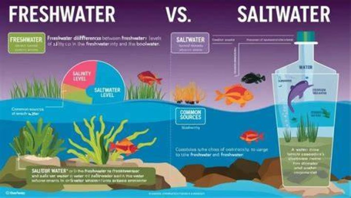 Is Lake Tahoe freshwater or saltwater?