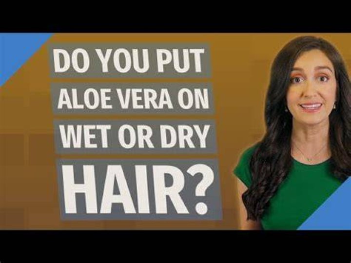 Should I apply aloe vera on wet or dry hair?