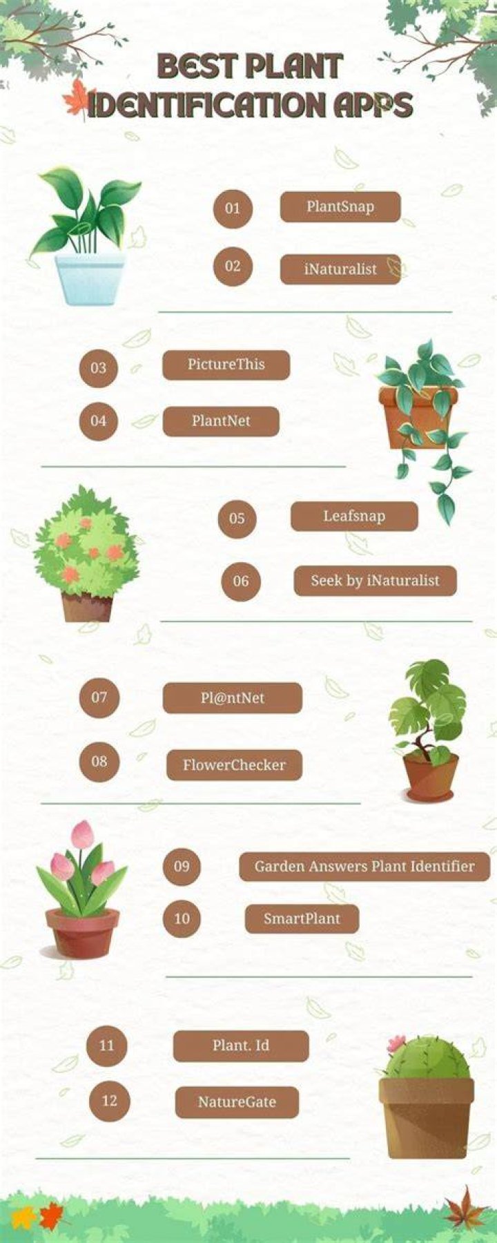 What's the best plant identification app that's free?