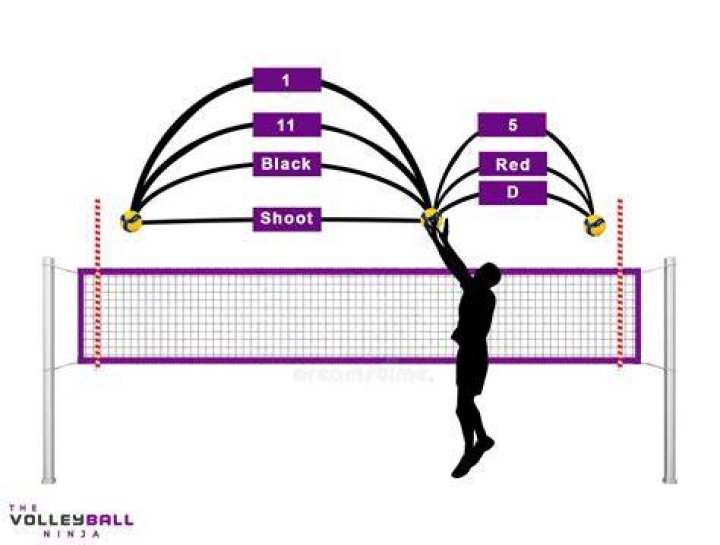 What are 4 types of set?