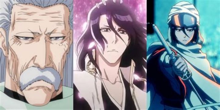 What are the 4 noble clans in Bleach?