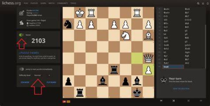 What does the Li in Lichess stand for?