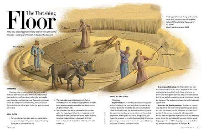 What does the threshing floor look like?