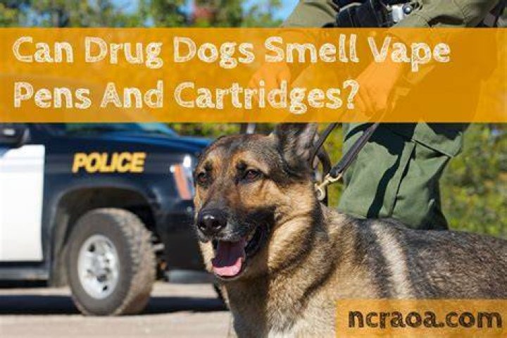 What drugs can police dogs smell?