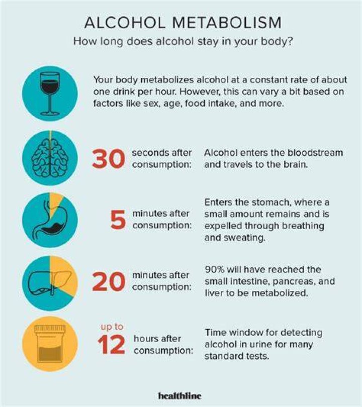 What foods get rid of alcohol in your system?
