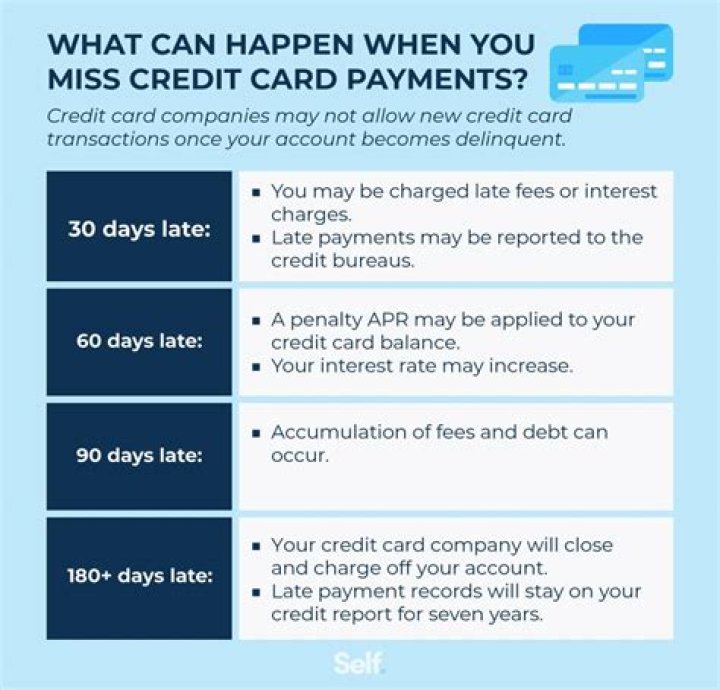 What happens if you don't pay your debt?