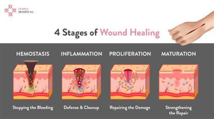 What heals skin the fastest?