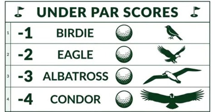 What is 3 shots under par called?