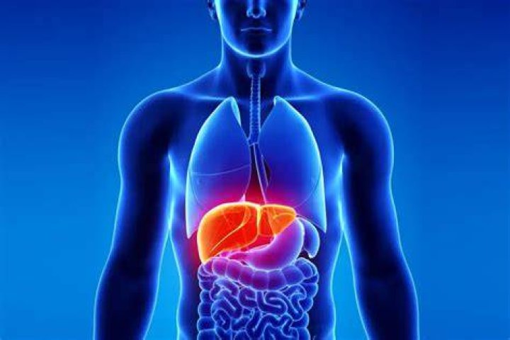 What is liver splash?