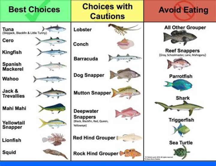 What is the best saltwater fish to eat?