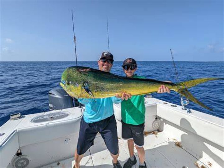 What is the best time of day to fish for mahi mahi?