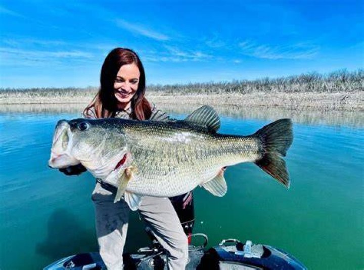 What lake in California has the biggest bass?