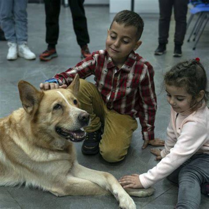 What makes a good therapy animal?