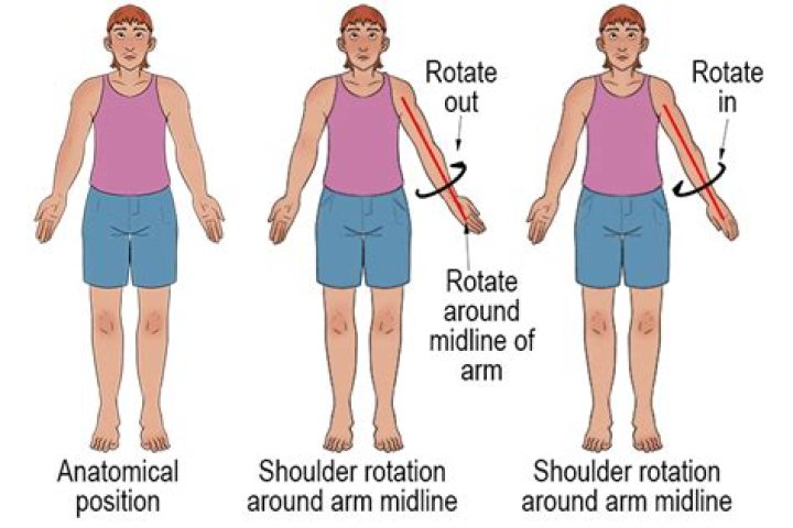 What movement is used to rotate the muscles?