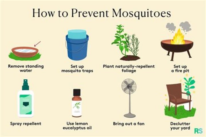 What scent keeps mosquitoes away?
