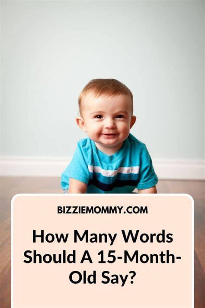 What words should a 15 month be saying?