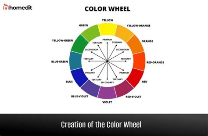 Which colour are not popular now?
