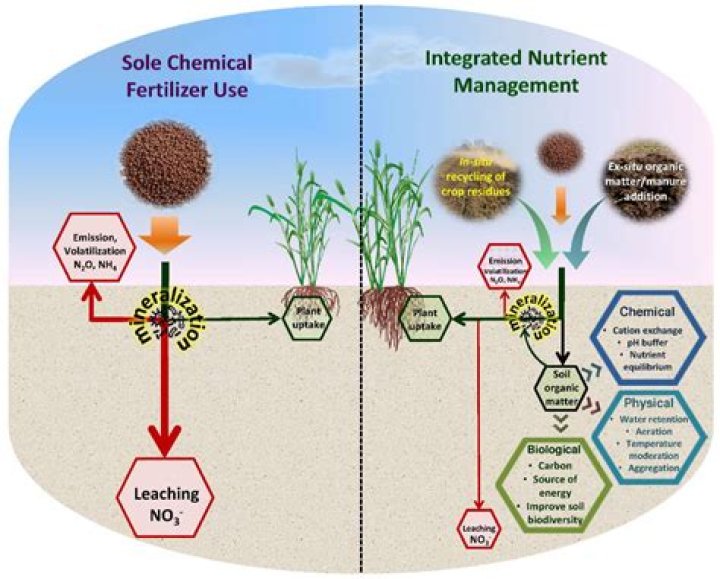 Which is better organic fertilizer or chemical fertilizer?