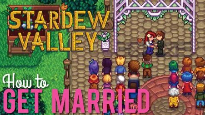 Who should you marry Stardew?