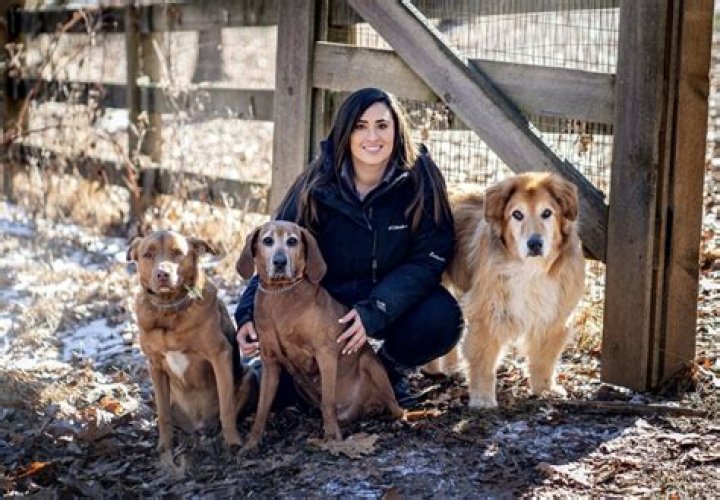 Why are dogs close to humans?
