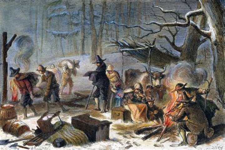 Why did so many Pilgrims died the first winter?