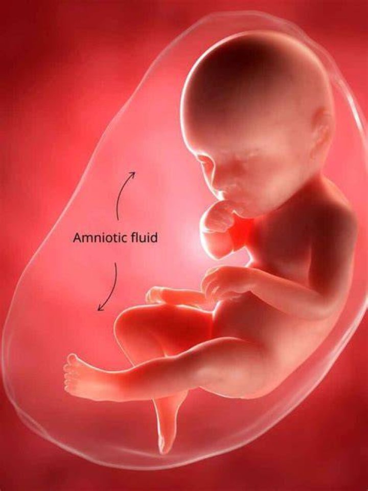 Why do babies not drown in amniotic fluid?