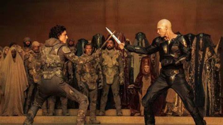 Why does everyone in Dune use swords?
