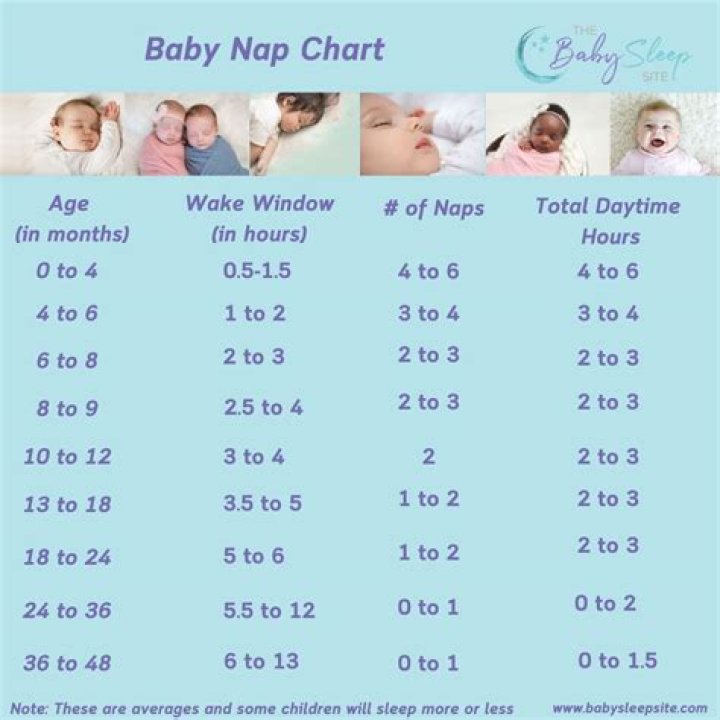 Why does my 3 month old only take 30 minute naps?