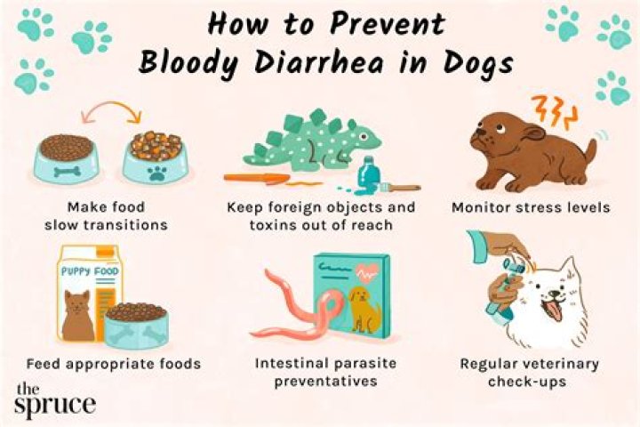 Why does tap water give me diarrhea?